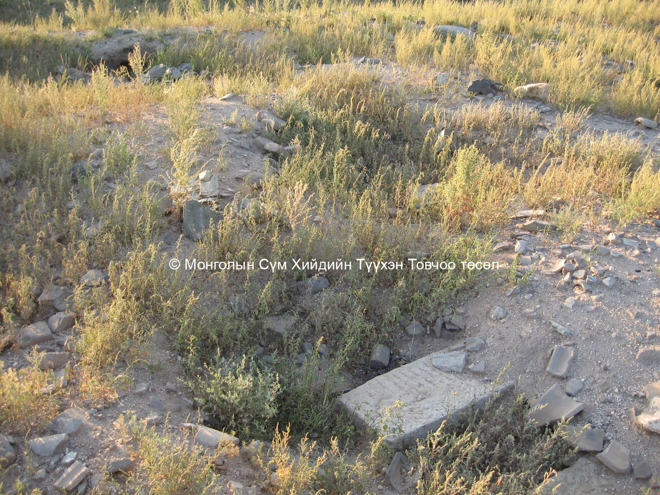 Зүүн-Хойд талаас авсан/Талын модонгийн хийдийн туу